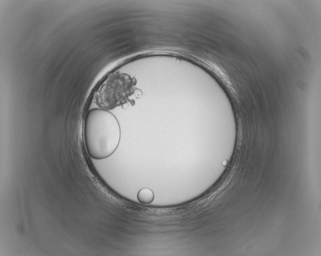 X0000115701420200912101205