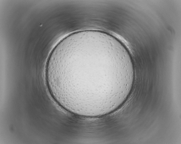 X0000115701423200912101205