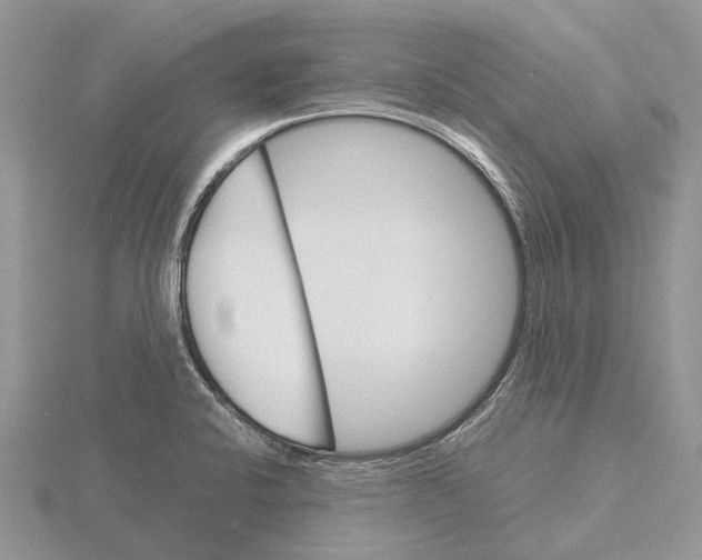 X0000115701424200912101205