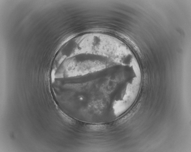 X0000115701425200912101205