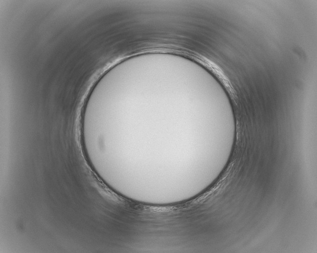 X0000115701427200912101205