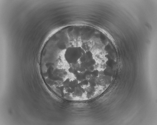 X0000115701429200912101205