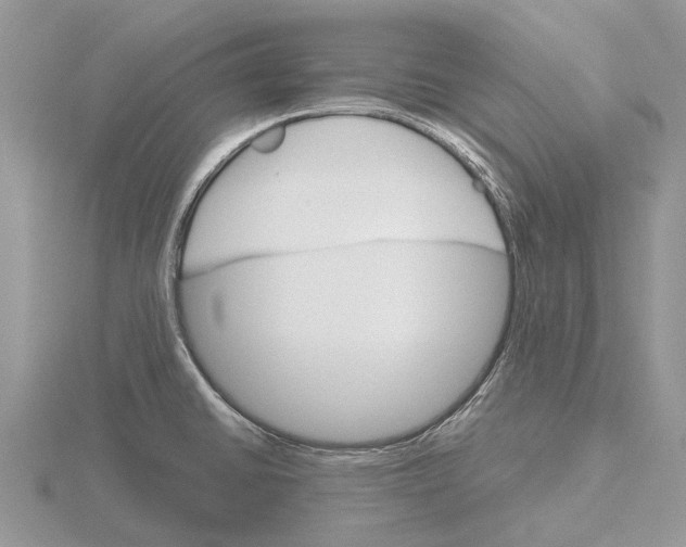 X0000115701430200912101205