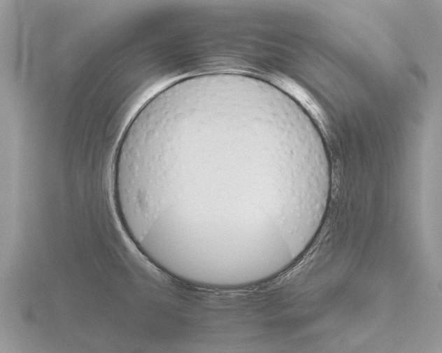 X0000115701431200912101205