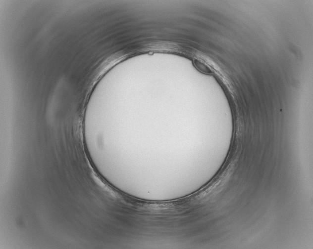 X0000115701433200912101205