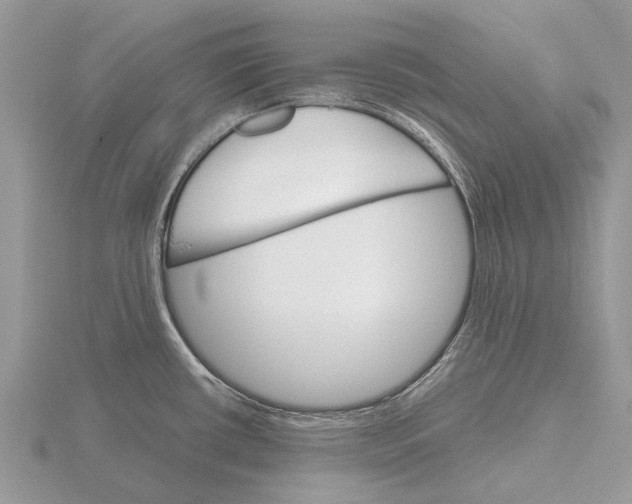 X0000115701434200912101205