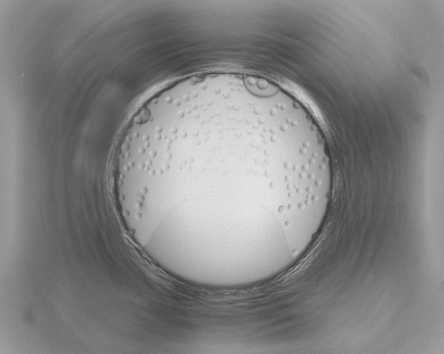 X0000115701435200912101205