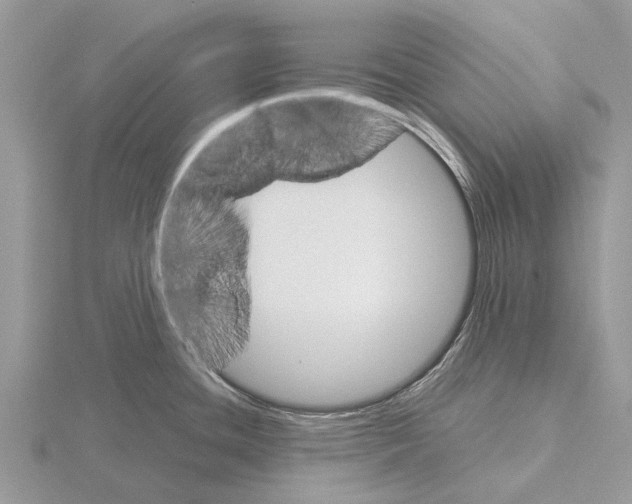 X0000115701436200912101205