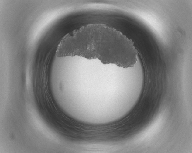 X0000115701438200912101205