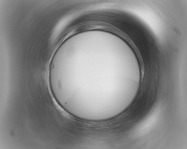 X0000115701439200912101205