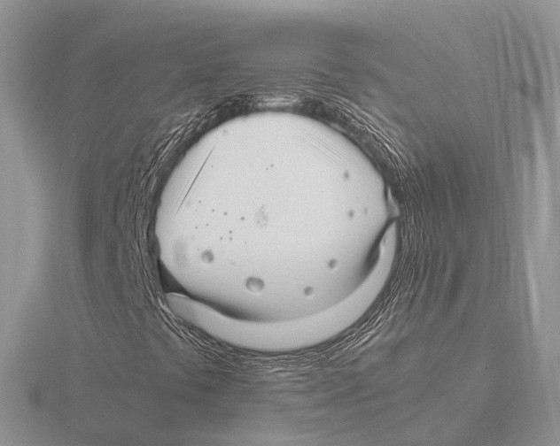 X0000115701441200912101205