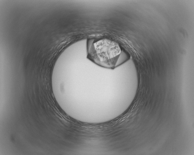 X0000115701444200912101205