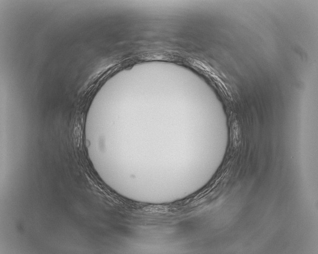 X0000115701446200912101205