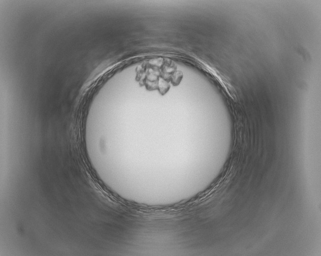 X0000115701448200912101204