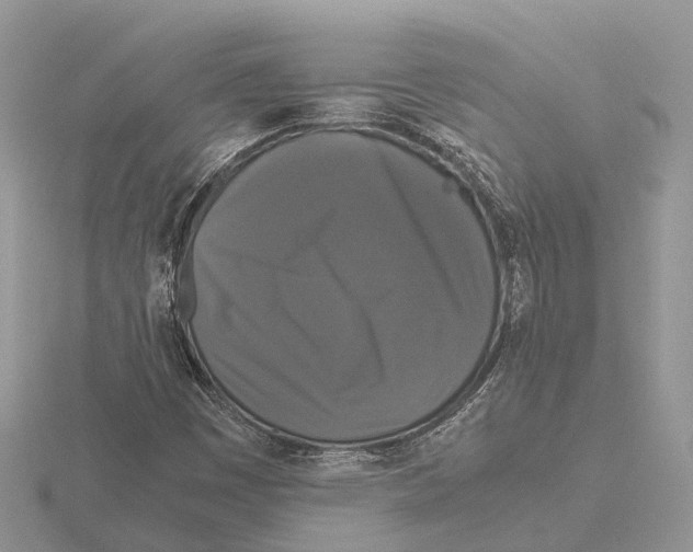 X0000115701449200912101204