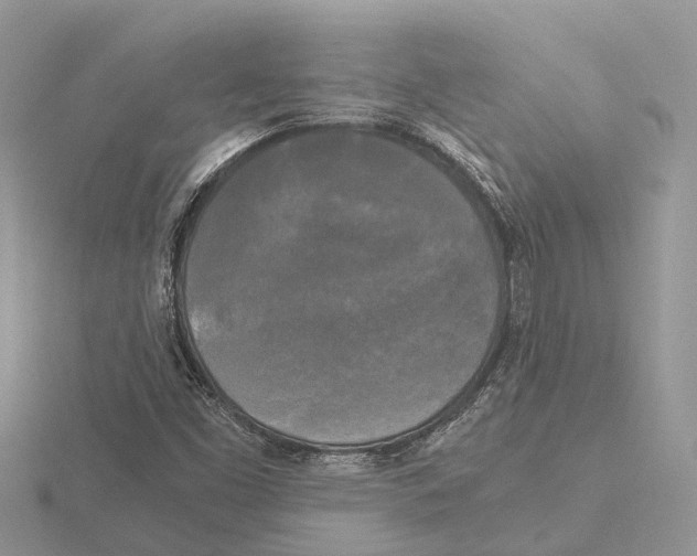 X0000115701453200912101204