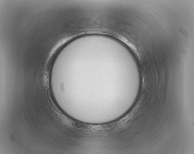 X0000115701454200912101204