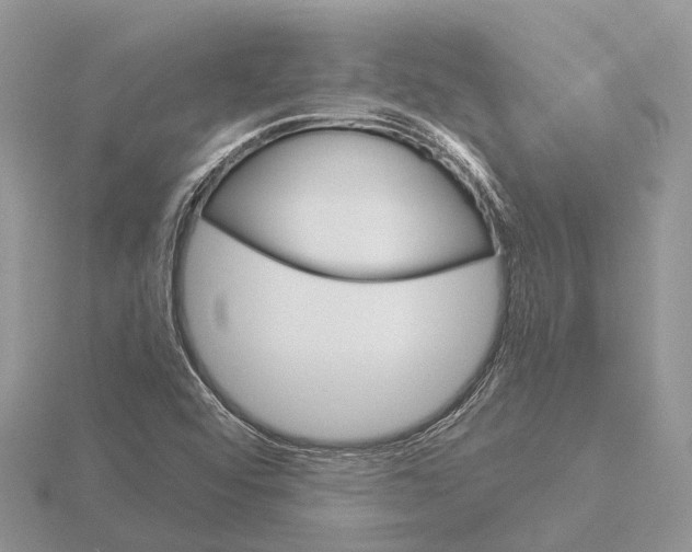 X0000115701456200912101204