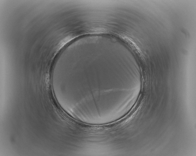 X0000115701457200912101204