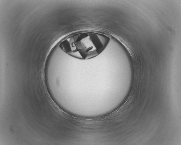 X0000115701460200912101204