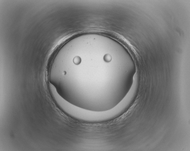 X0000115701461200912101204