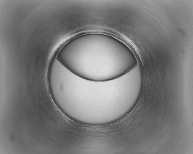 X0000115701464200912101204