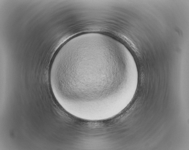 X0000115701465200912101204