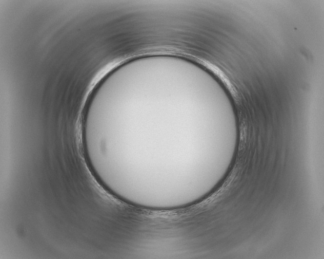 X0000115701466200912101204