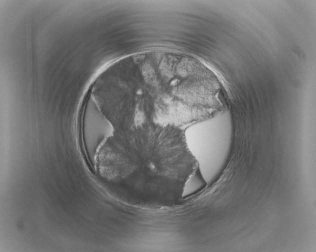 X0000115701467200912101204