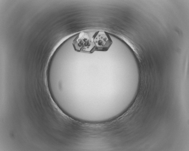 X0000115701468200912101204