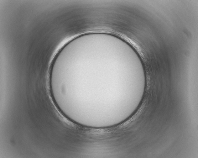 X0000115701470200912101204