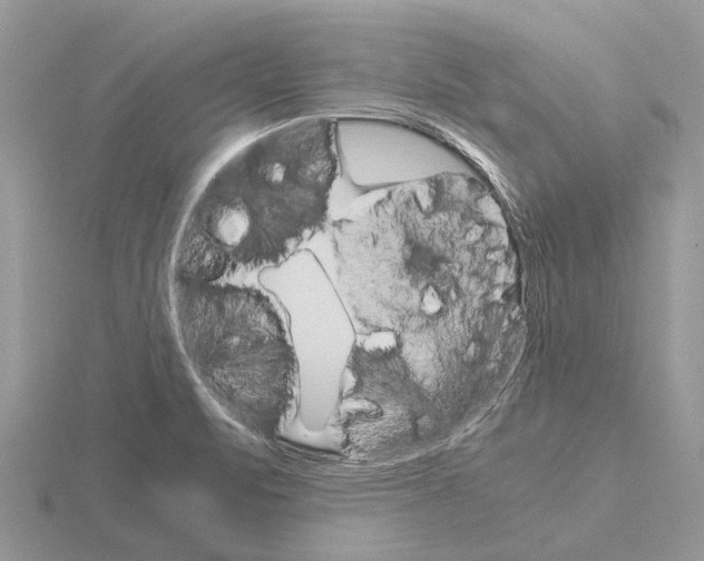 X0000115701471200912101204