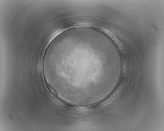 X0000115701473200912101204