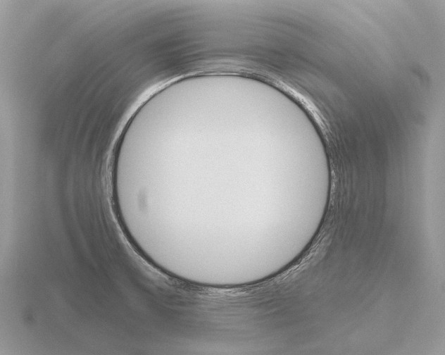 X0000115701475200912101204