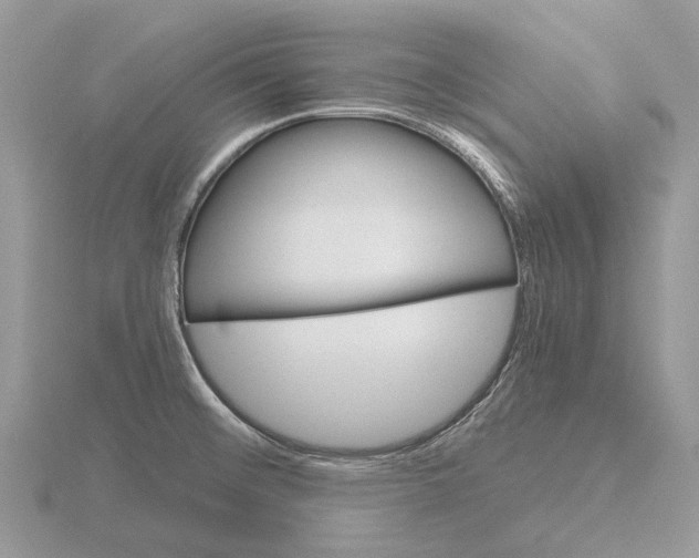 X0000115701476200912101204