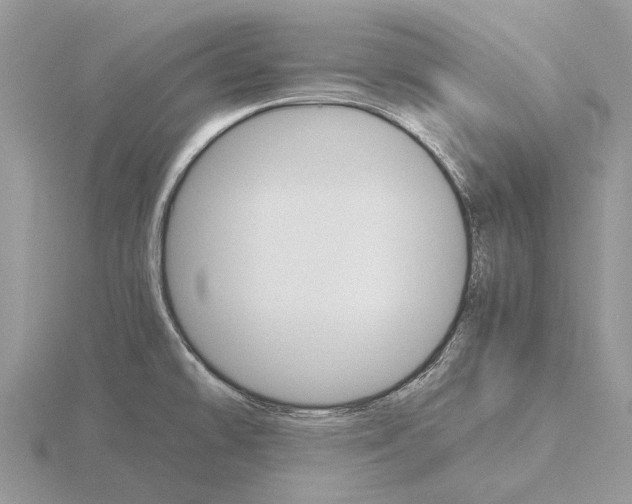 X0000115701478200912101204