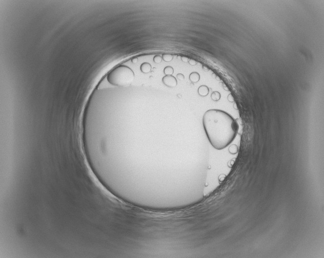 X0000115701479200912101204