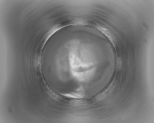 X0000115701481200912101204