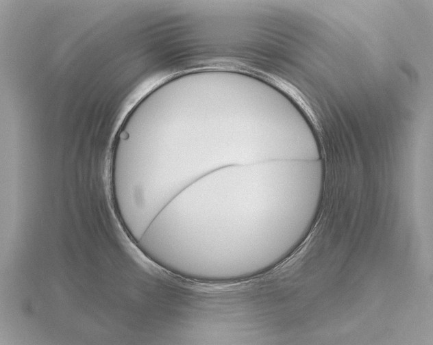 X0000115701482200912101204