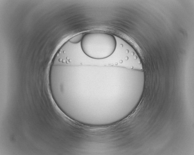 X0000115701483200912101204