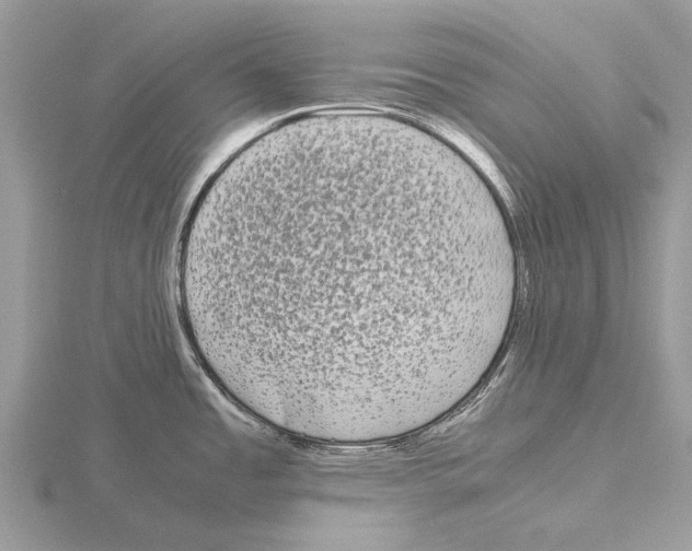 X0000115701485200912101204