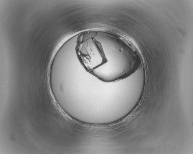 X0000115701488200912101204