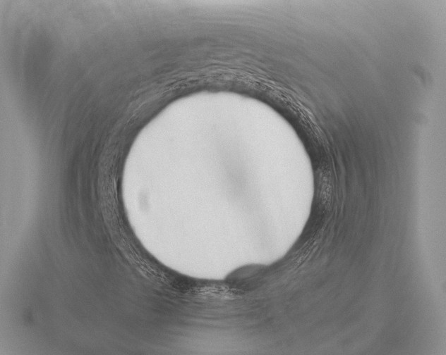 X0000115701489200912101203