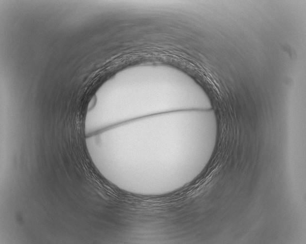 X0000115701490200912101203