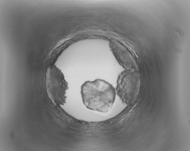 X0000115701494200912101203