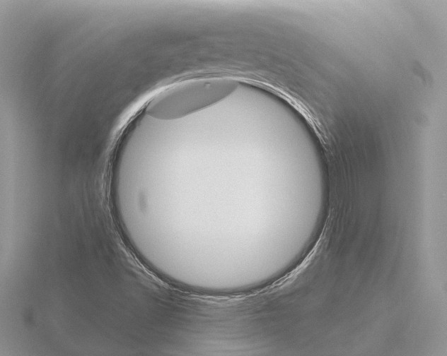 X0000115701502200912101203