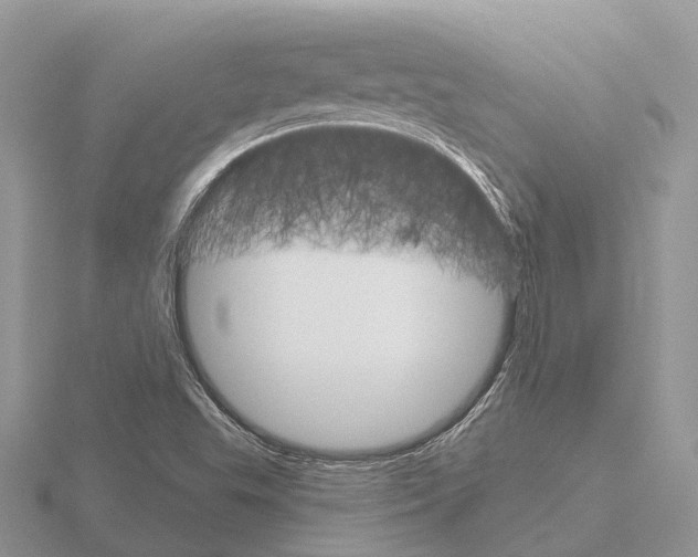 X0000115701503200912101203