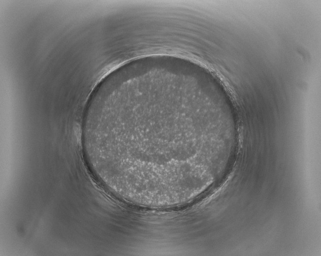 X0000115701505200912101203