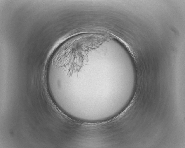 X0000115701506200912101203