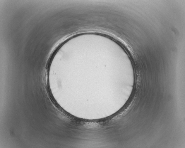 X0000115701509200912101204